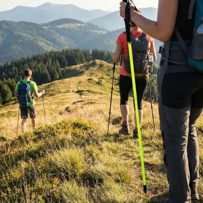 Famille baton trail carbone balade sommet vosgien