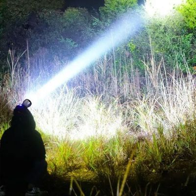 Homme puissante lampe frontale éclaire lisière bois