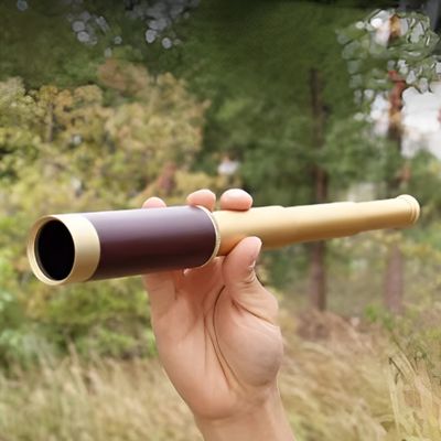 Présentation longue vue pirate dans herbes folles sous pins