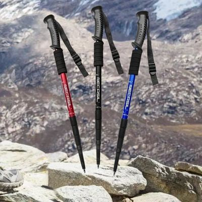 Trois variantes couleur batons de randonnée