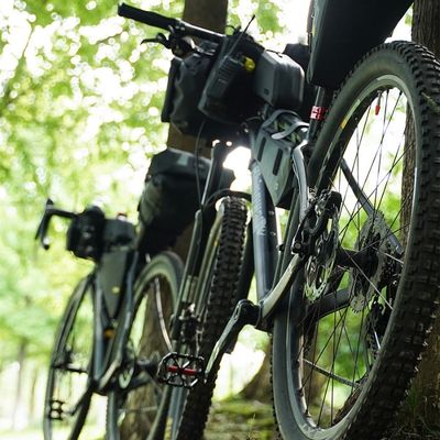 Vélos posés arbres avec sacoche velo selle bien fixée