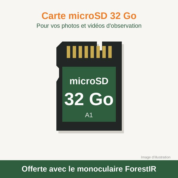 Carte micro SD 32 Go