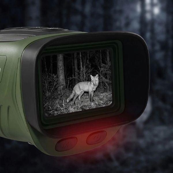 Écran du monoculaire vision nocturne montrant un renard la nuit en noir et blanc